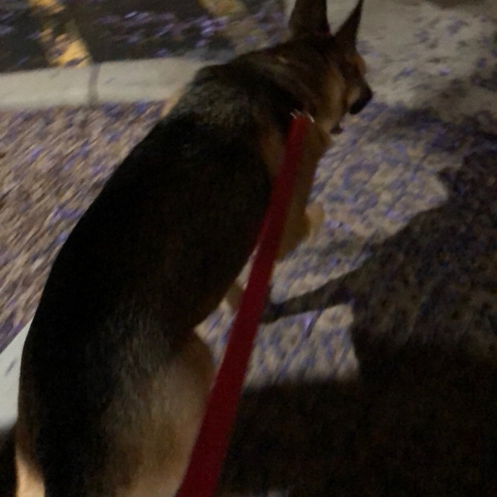 Meet your Posher, Hailey